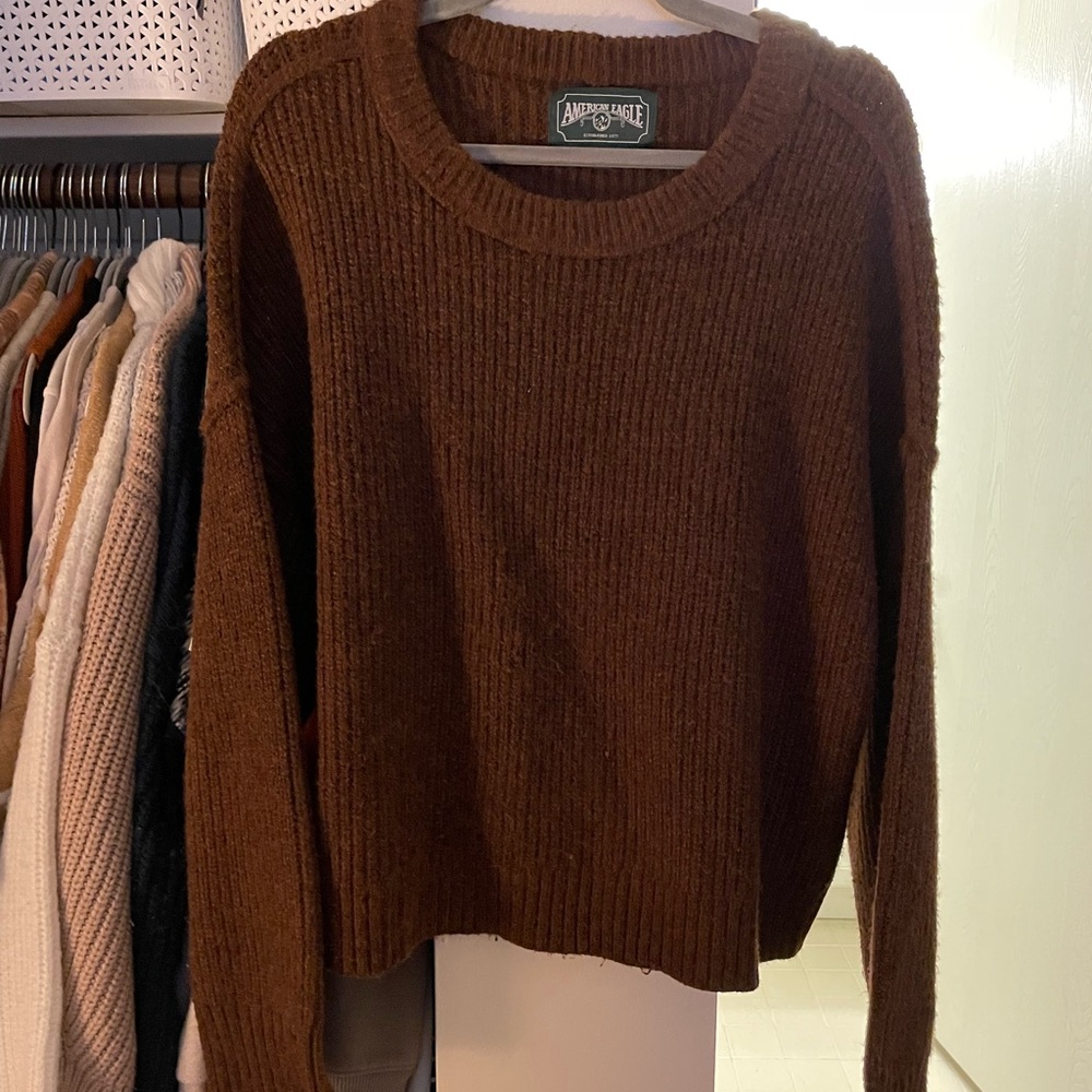 American Eagle Brown Sweater